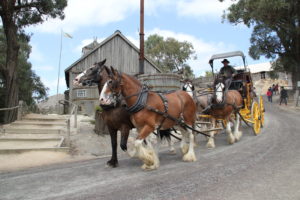 Sovereign Hill horse and carriage