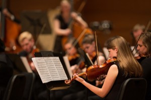 Violinists Orchestra