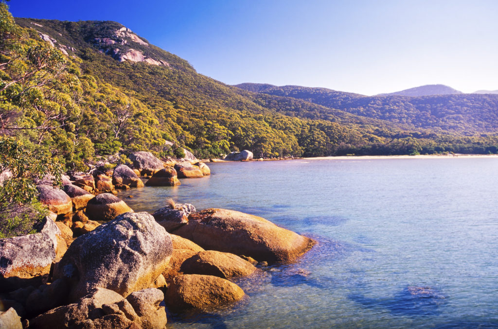 Wilsons Promontory Victoria Australia