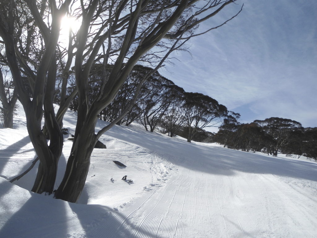 Perisher Valley view NSW Australia