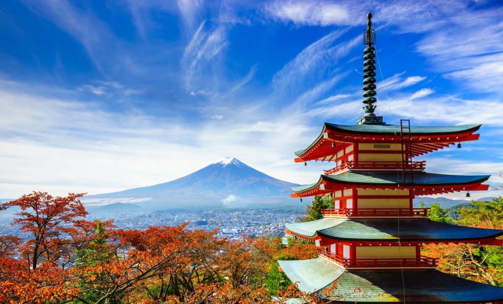 shutterstock_230107657 rs