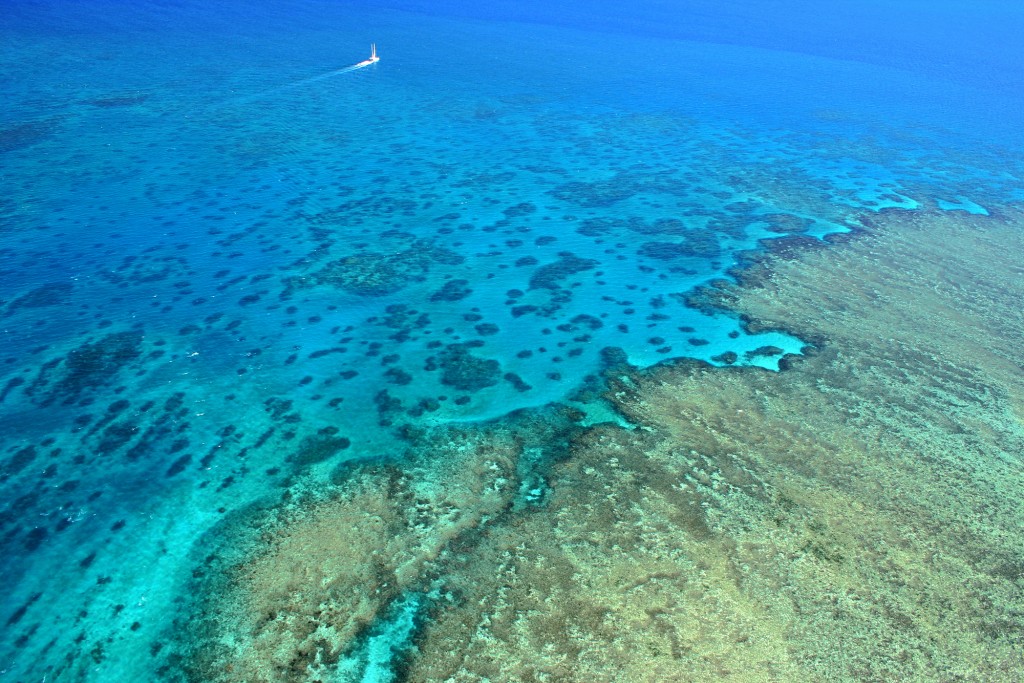 Great Barrier Reef Australia