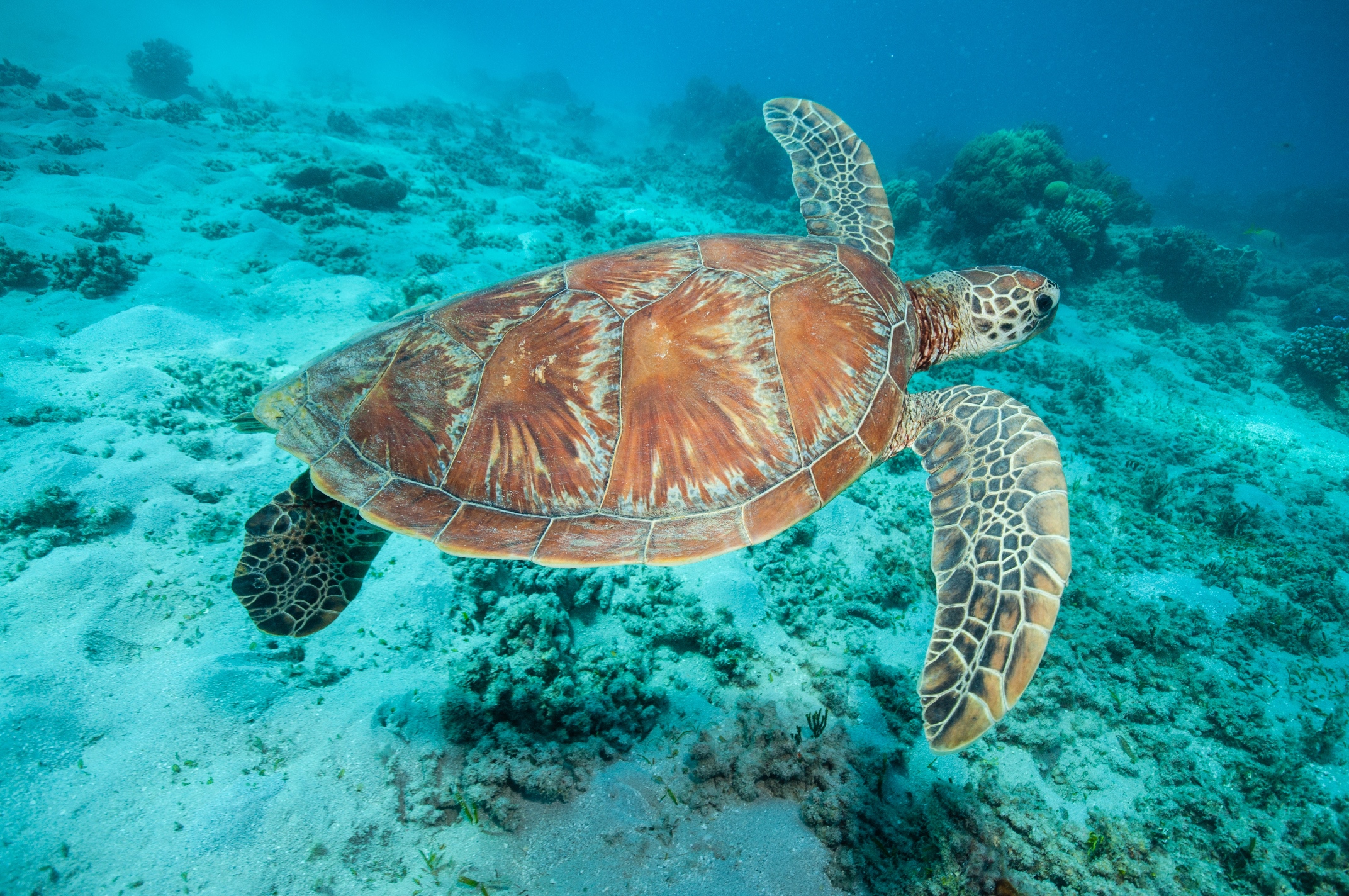 Cairns Ecosystems Tour For Students - WorldStrides Australia