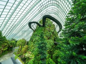 STEM: Sustainability in Singapore