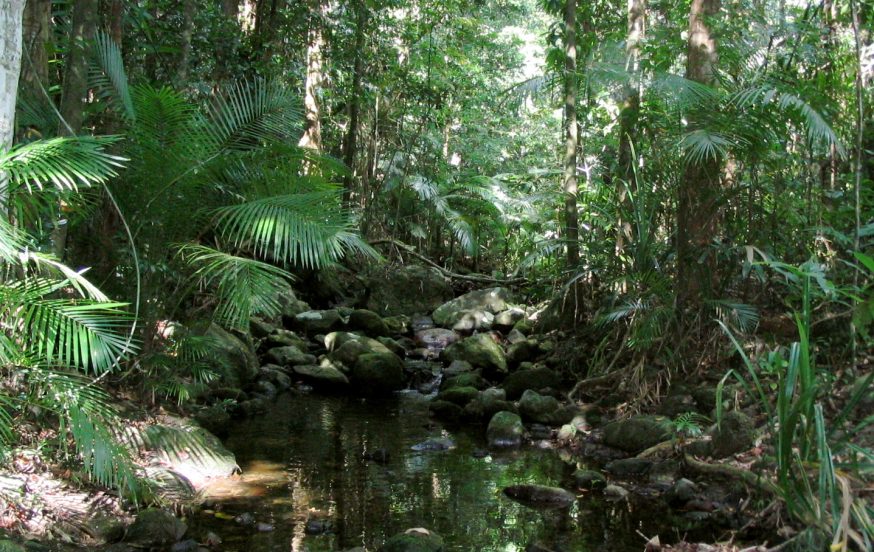 STEM: Cairns