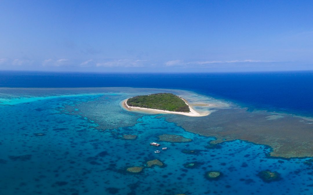 On The Road Again: Bundaberg And Lady Musgrave Island Tour ...