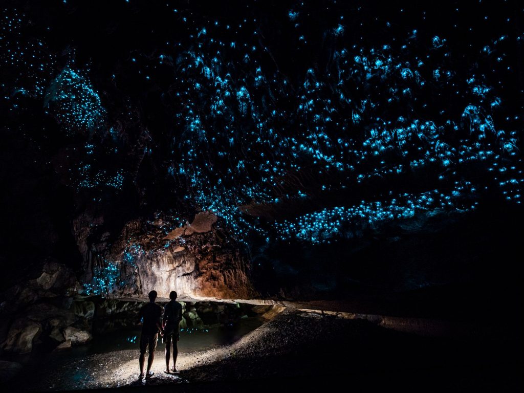 Waitomo Caves