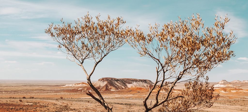 The Breakaways - Coober Pedy tour