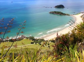 STEM: New Zealand