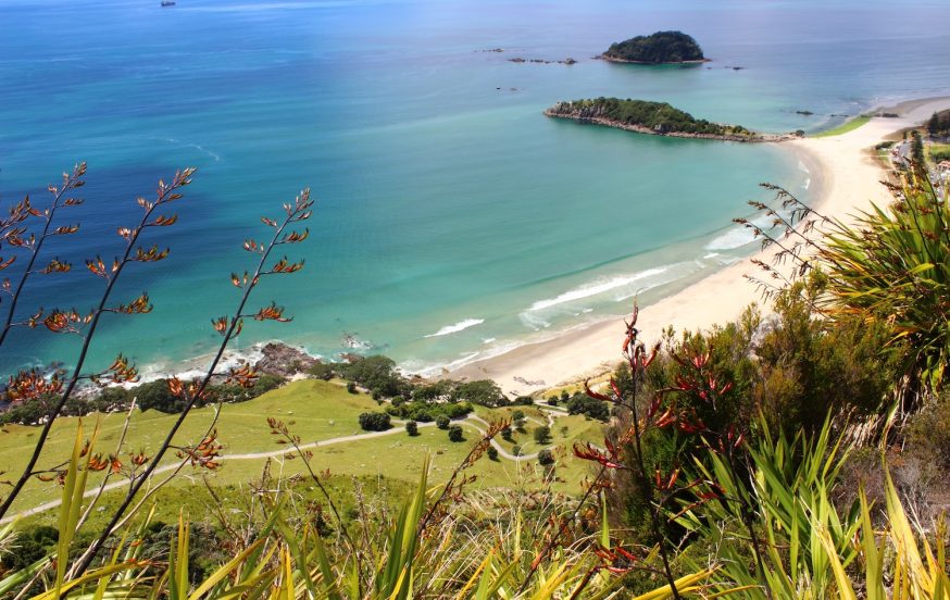 Educational Student Tours - STEM New Zealand