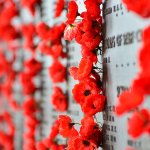 Canberra Educational Student Tours