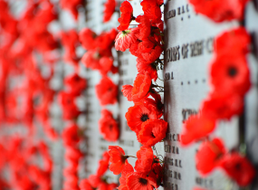 How PACER is supporting school travel to Canberra in 2026