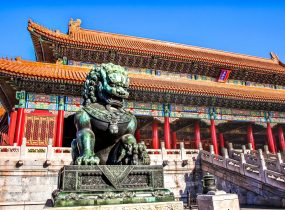 Language Immersion: China