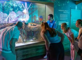 Teacher Training Trip Recap: Cairns 2026