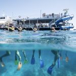 Kids Reef Rebate