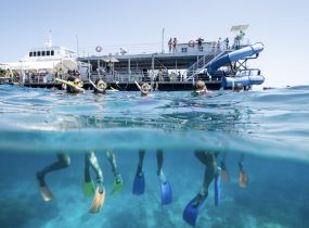 New Government Funding Makes Great Barrier Reef Excursions More Accessible for Schools